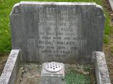 image of grave number 238042